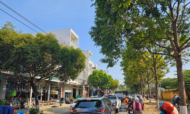 Đắk Lắk chỉ đạo cung cấp hồ sơ dự án cây xanh theo yêu cầu Bộ Công an