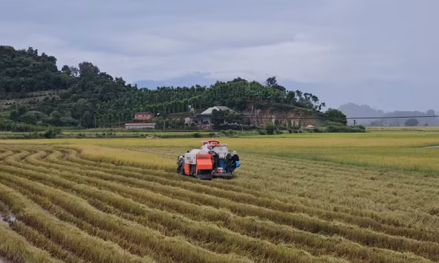 Một chủ tịch xã ở Đắk Lắk bị phê bình do để 'khủng hoảng thông tin' trên mạng