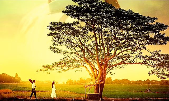 Park Hang Seo, Như Quỳnh, Thái Phiên… đu theo 'Mắt biếc'