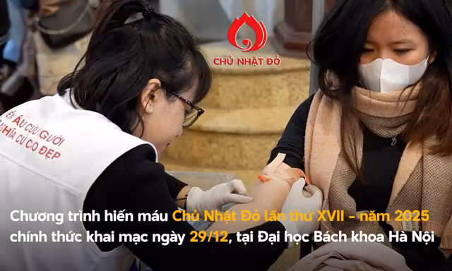 Chủ Nhật Đỏ: Sứ mệnh gieo yêu thương - trao sự sống