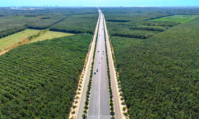 Bình Dương hủy chủ trương đặt trạm thu phí trên tuyến đường huyết mạch hơn 60km