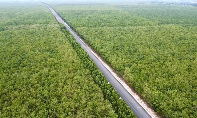Khởi công, thông xe hai công trình đường bộ phía Nam gần 30.000 tỷ dịp lễ 30/4