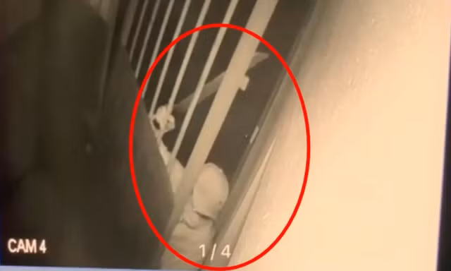 CLIP: Rùng rợn cảnh tên trộm cầm mã tấu, phá khóa vào nhà dân lúc rạng sáng