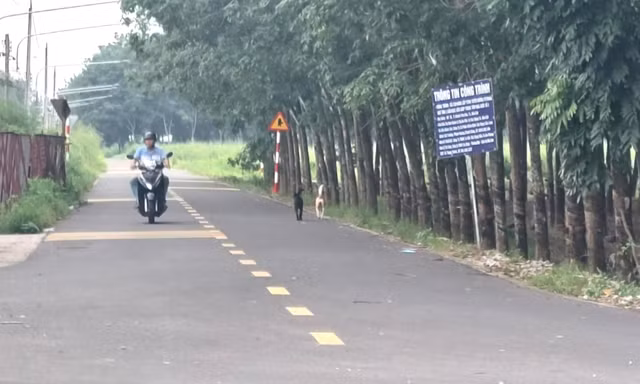 Người dân Bình Dương hiến đất, góp hàng chục tỷ đồng xóa đường lầy lội