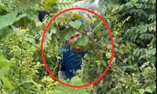 Bị cảnh sát truy đuổi vì mang hàng cấm, nhảy xuống sông vẫn không thoát