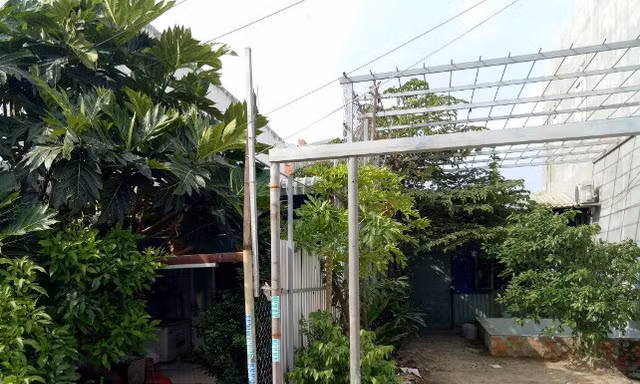 Chủ tịch phường xác nhận sai hiện trạng đất, người dân dính 'quả đắng'