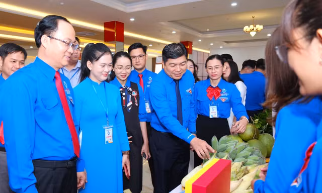 Bình Dương tổ chức thành công Đại hội điểm Hội LHTN Việt Nam cấp huyện