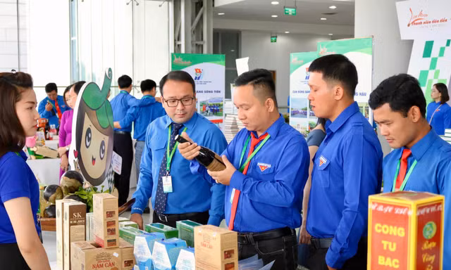 Liên hoan thanh niên tiên tiến các tỉnh, thành phía Nam lần thứ III, năm 2023
