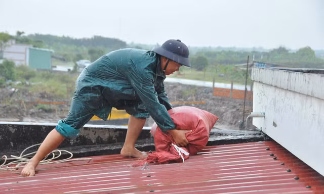 Dân quân tự vệ dầm mưa chằng chống nhà cửa chống bão