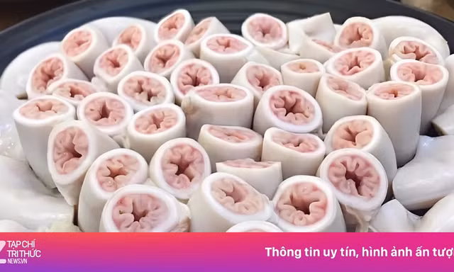 Hàng nghìn con heo mới có 1 con có lòng xe điếu, nhưng chỉ dài khoảng 1 m