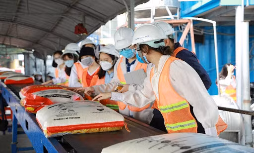 Ngành Logistics và quản lý chuỗi cung ứng được nhiều bạn trẻ chọn lựa vì sức phát triển lớn