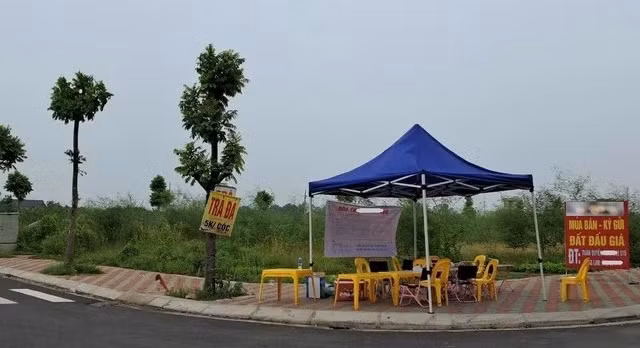 Đấu giá đất hơn 100 triệu đồng/m2 ở Thanh Oai: Tình hình hiện tại ra sao?