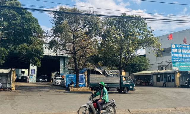 Thoát cảnh xếp hàng, đăng kiểm Đồng Nai lại sợ 'ế'