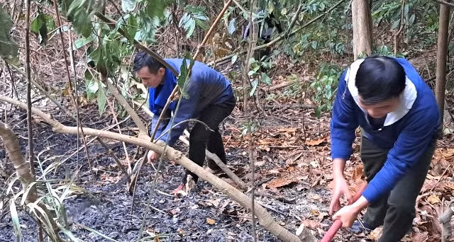 Cháy rừng ở Đà Nẵng, 200 người tham gia dập lửa