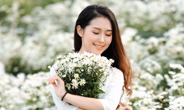 Vườn cúc họa mi hiếm hoi sống sót sau bão Yagi bung nở, khoe sắc 