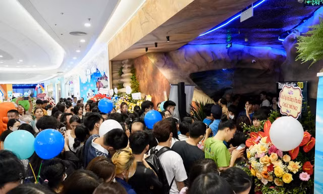 Hàng trăm người xếp hàng khám phá 'thủy cung không nước' tại Hà Nội