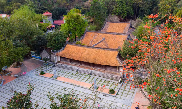 Mê mẩn ngắm hoa gạo nở đỏ rực bên ngôi chùa nghìn năm tuổi tại Hà Nội