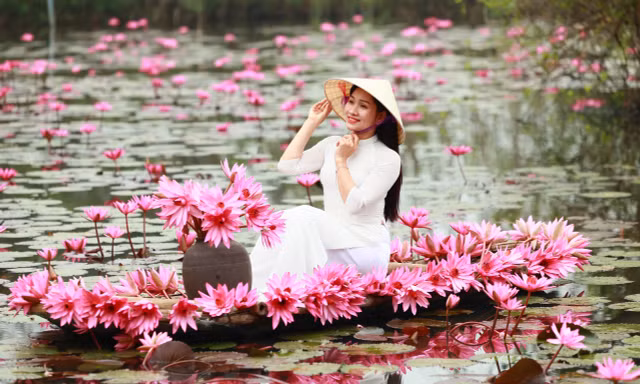 Mê mẩn những mùa hoa gây thương nhớ ở Hà Nội