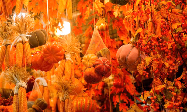 Phố Hàng Mã thay áo mới, ngập tràn màu sắc 'ma mị' đón Halloween