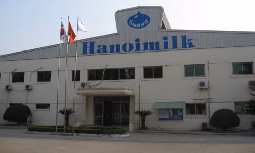 Lãnh đạo Hanoimilk từ chối bình luận gì về thông tin Tiga Pilar mua cổ phần công ty.