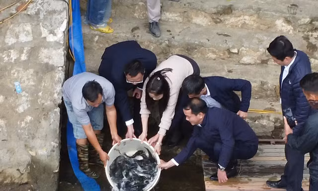Thả 8 tấn cá bổ sung nguồn thủy sản cho hồ nhân tạo lớn nhất Yên Bái