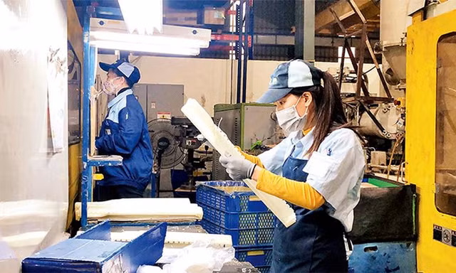 Tin vui: Doanh nghiệp 'khai sinh' nhiều hơn 'khai tử'