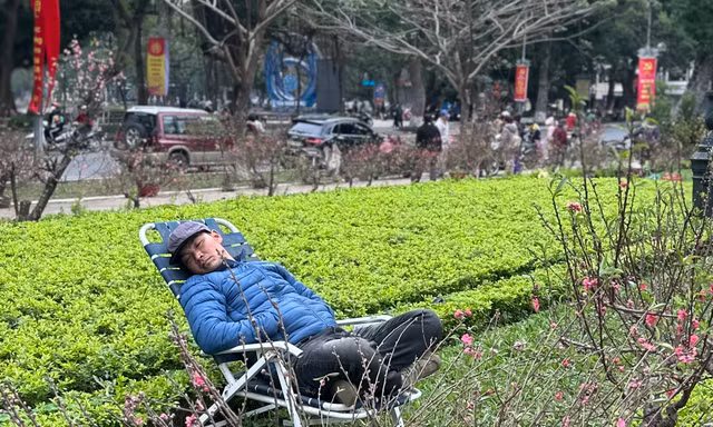 29 Tết: Tiểu thương ngủ gật, đào quất ế chỏng chơ 