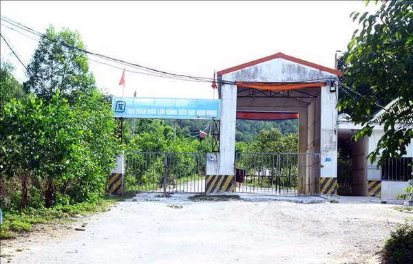 Đề nghị xử phạt trại lợn 'đầu độc' hồ Tràng Đen
