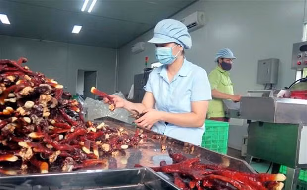 Đưa quan hệ Đối tác chiến lược Việt Nam-Singapore lên tầm cao mới