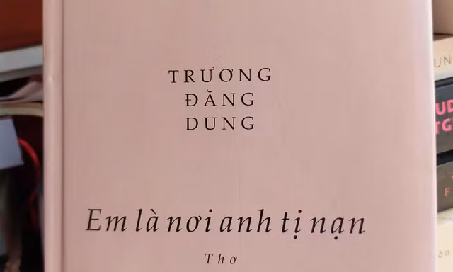 Trương Đăng Dung - em, anh & tị nạn