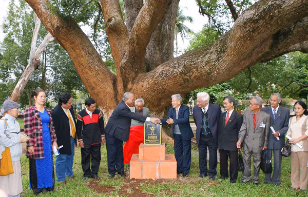 Lễ công nhận cây di sản.