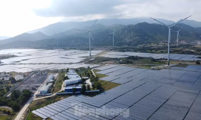 Cựu cục phó cục thuế bị khởi tố vì không truy thu 73 tỷ đồng của 2 doanh nghiệp điện mặt trời 