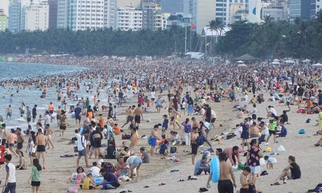 Xuất hiện sứa lửa ở biển Nha Trang 