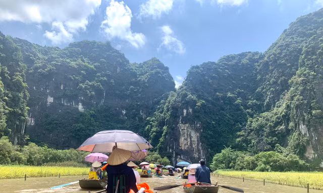 Du khách mê mẩn với ‘Sắc vàng Tam Cốc - Tràng An’