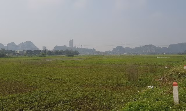 Ninh Bình vẫn giao 7,5ha đất khi chưa xác định giá, không qua đấu giá cho Tập đoàn Thành Thắng