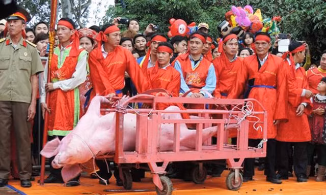 Chỉ đạo mới từ Bộ Văn hóa về lễ hội bạo lực, phản cảm