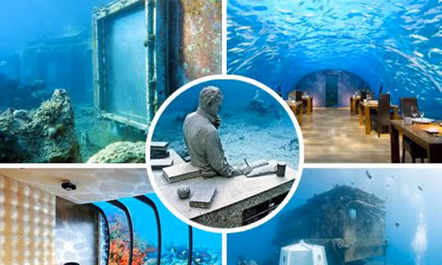 Khám phá 7 kỳ quan thế giới dưới đáy đại dương