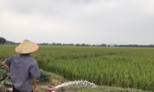 Trường đua ngựa trăm triệu USD đang ở đâu? 
