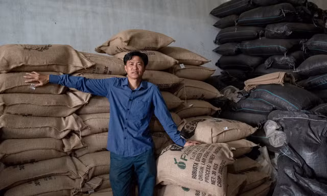 Kế hoạch giải cứu cà phê thế giới từ Việt Nam 