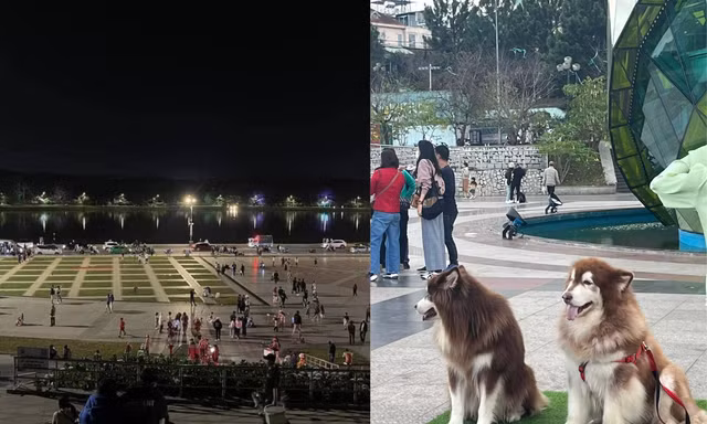 Dịch vụ chụp ảnh với chó cảnh ở Đà Lạt gây bức xúc, dân mạng kêu gọi tẩy chay