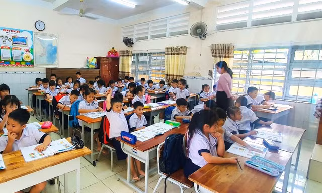 TPHCM khẩn trương xác định mã định danh cho gần 50.000 học sinh