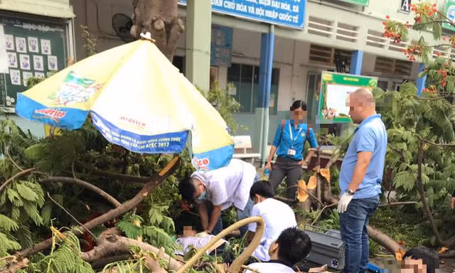 Cây trong sân trường bất ngờ bật gốc, học sinh tử vong, nhiều cháu nhập viện