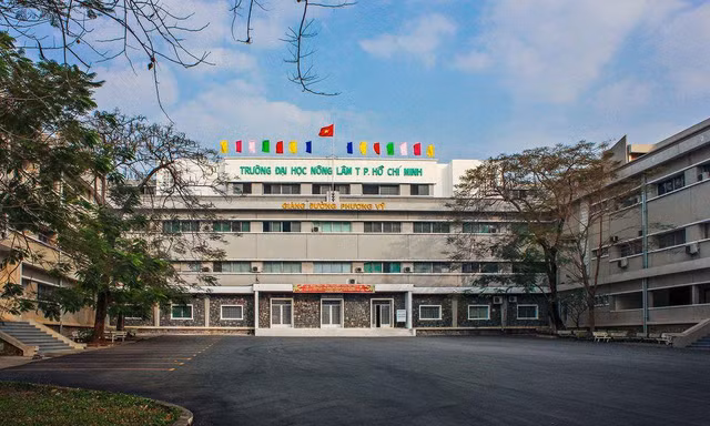 Israel tìm thấy thi thể nghi sinh viên đại học Nông Lâm TPHCM mất tích 6 năm trước