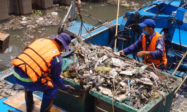 Hai cơn mưa ở TPHCM làm chết gần 14 tấn cá trên kênh