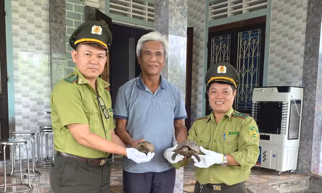 Loạt động vật hoang dã vừa được cứu hộ tại Huế quý hiếm mức nào?