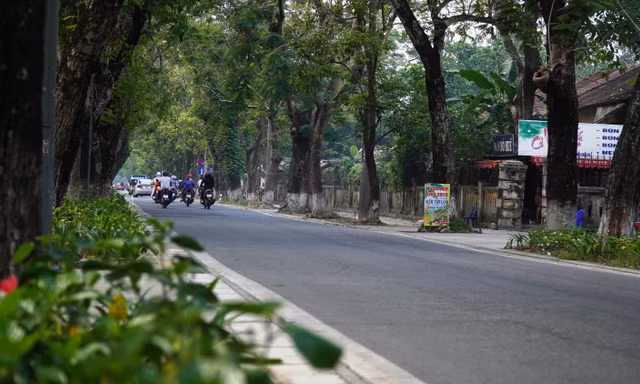 Đường Đoàn Thị Điểm và 3 tuyến đường khác bên trong Kinh thành Huế sẽ trở thành phố đêm.