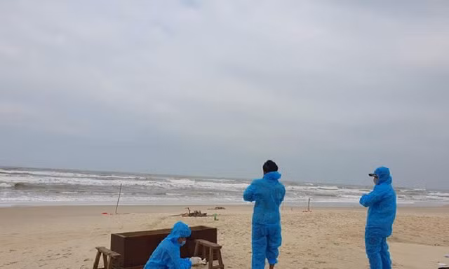 Thi thể phân hủy trôi dạt vào bờ biển TT-Huế