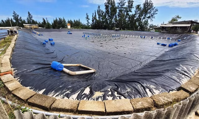 Một người nuôi tôm bị điện giật tử vong khi sửa chữa ao hồ
