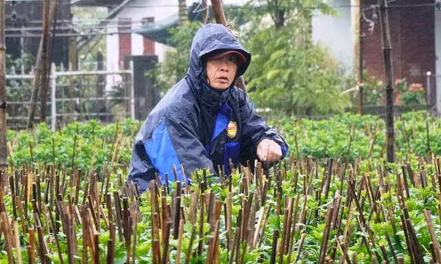 Huế lạnh như mùa đông vào giữa tháng 4