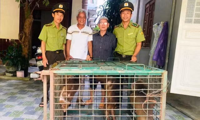 Một người dân cùng lúc giao nộp 3 cá thể động vật hoang dã quý hiếm